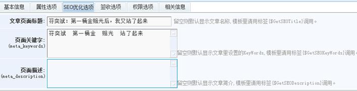 SEO优化选项