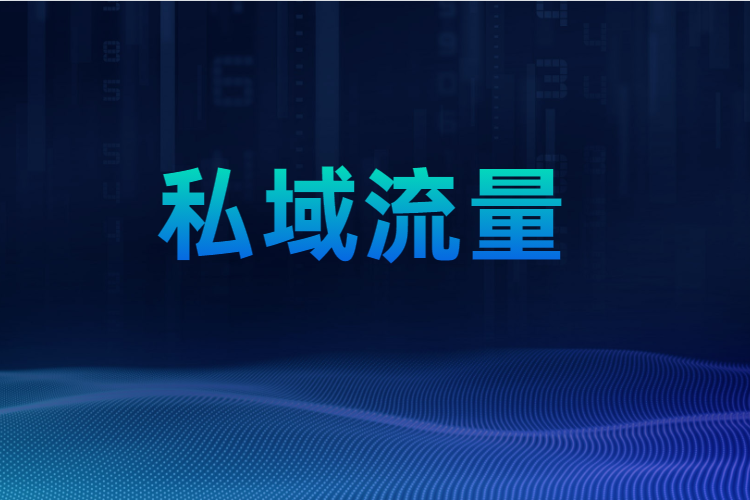 在“黑天鹅”的催化下，，，，私域流量越来越受重视